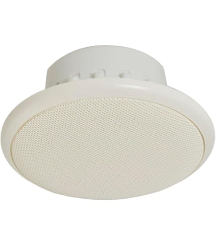 Amazon | Panasonic 防滴スピーカー天井埋込みタイプ(3W・パネル付属